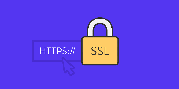 گواهینامه امنیتی یا SSL چیست
