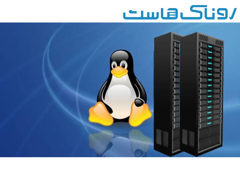 سرور مجازی لینوکس چیست؟